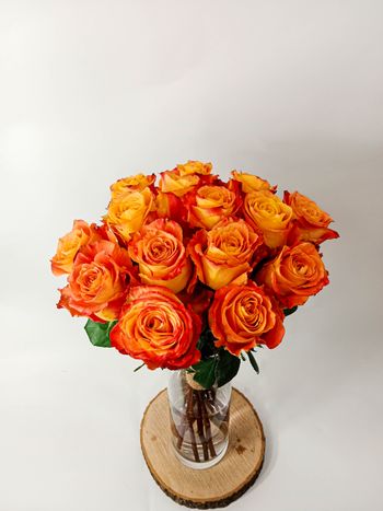 Kytice oranžových, velkokvětých růží 15 ks 