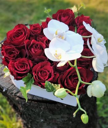  Flower-box  červené růže a orchidej