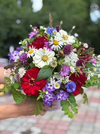 Flowerbox letní, luční mix (FK)