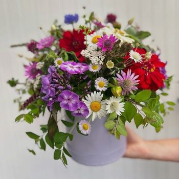 Flowerbox letní, luční mix (FK)