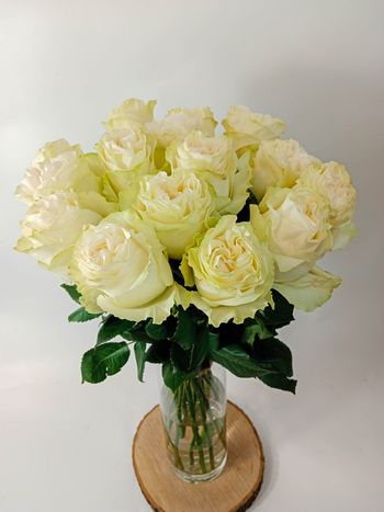 Kytice bílých, velkokvětých růží 15 ks 