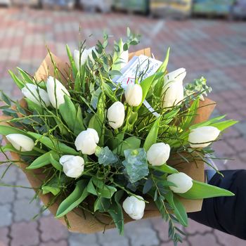   Elegantní  jarní kytice  bílých tulipánů