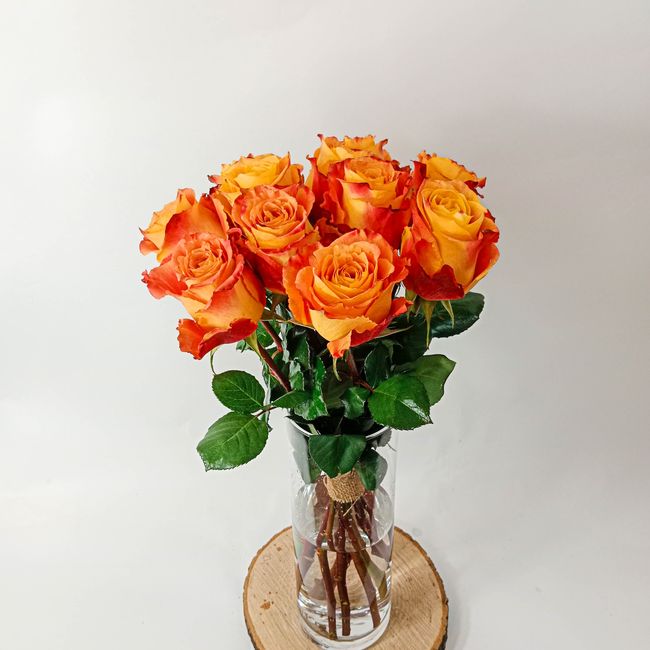 Kytice oranžových, velkokvětých růží 11 ks 