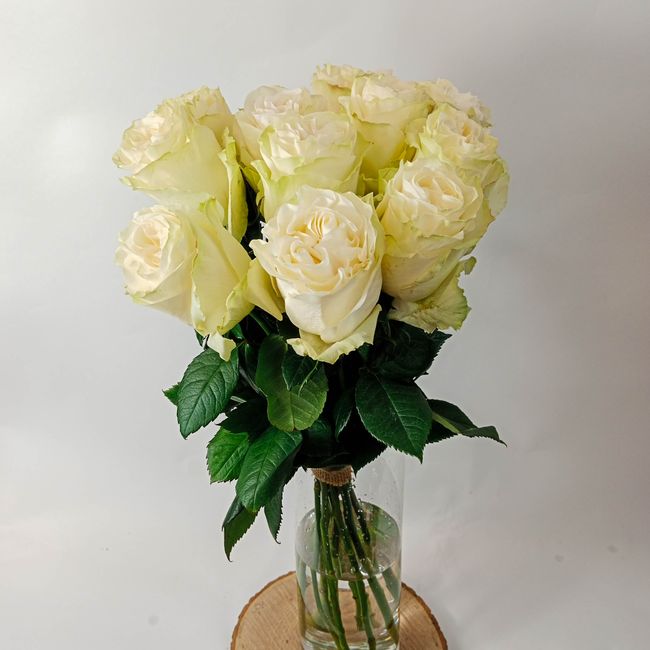 Kytice bílých, velkokvětých růží 11 ks 