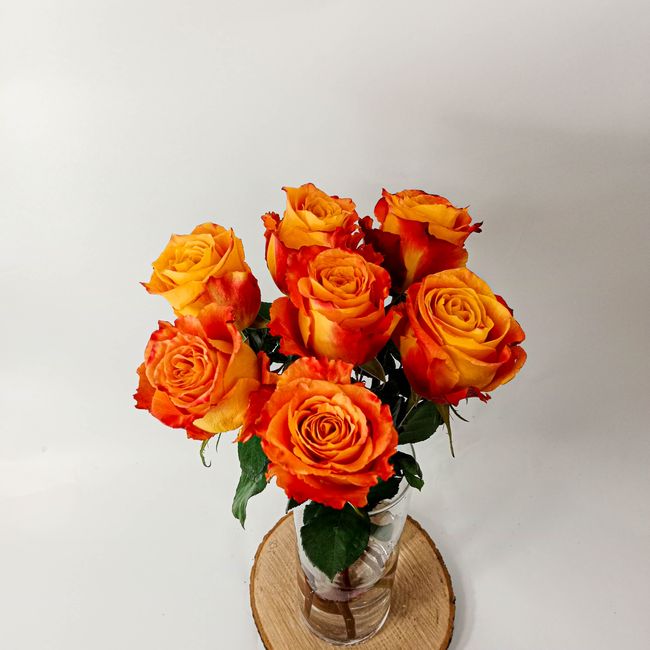 Kytice oranžových, velkokvětých růží 7 ks
