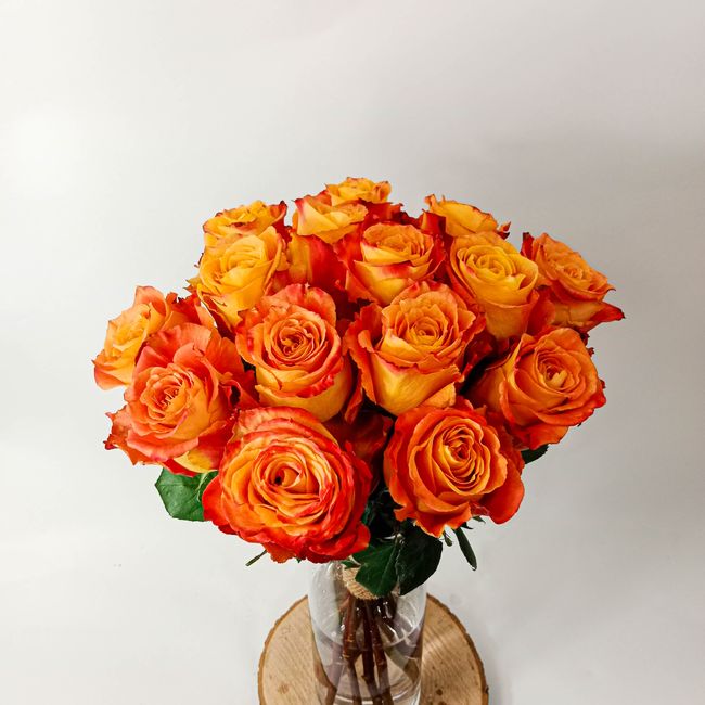 Kytice oranžových, velkokvětých růží 15 ks 