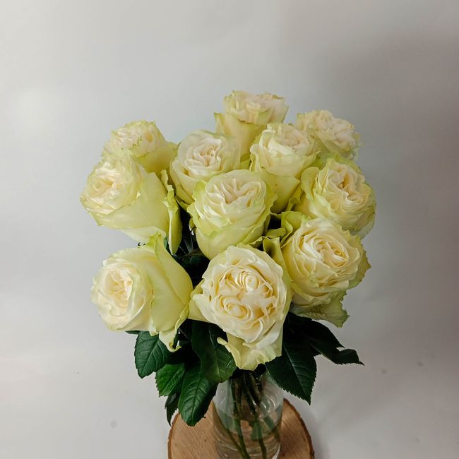 Kytice bílých, velkokvětých růží 11 ks 