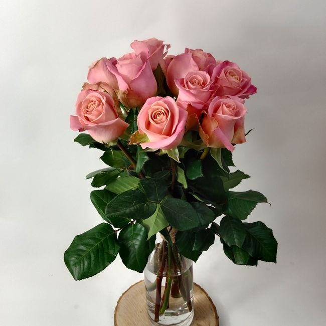 Kytice růžových, velkokvětých růží 11 ks 