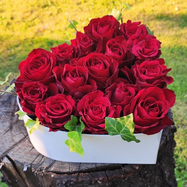 Flower-box 19x9 cm, 15 ks červená růže 