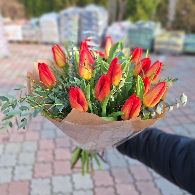 Elegantní jarní kytice červených tulipánů