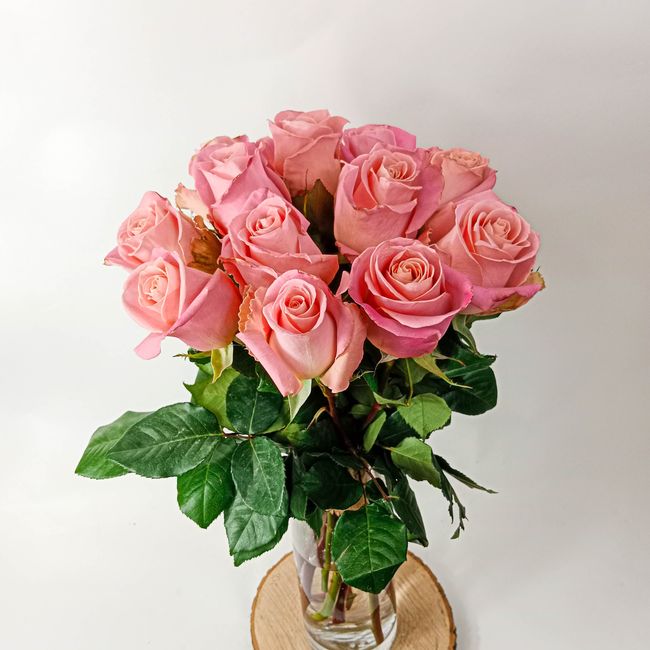 Kytice růžových, velkokvětých růží 15 ks 