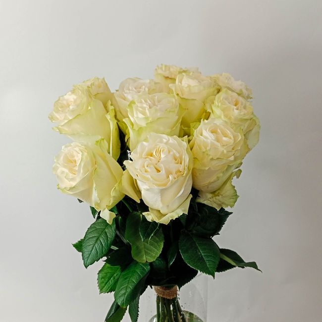Kytice bílých, velkokvětých růží 11 ks