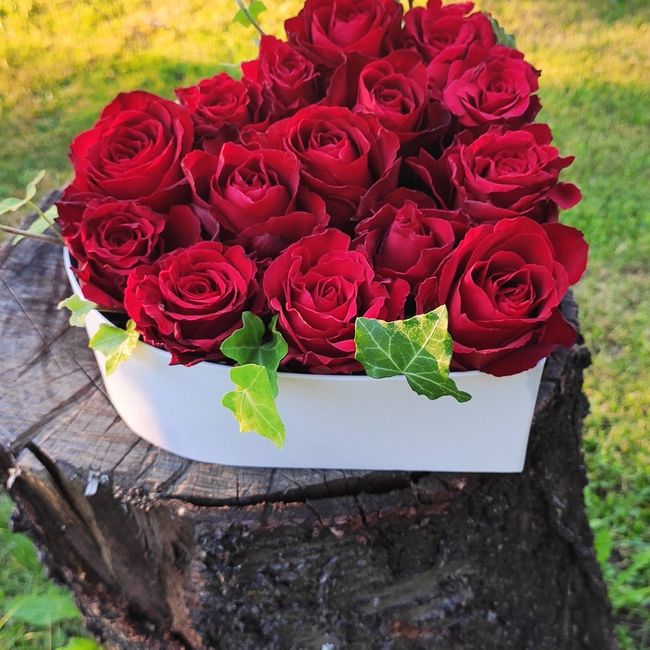 Flower-box 19x9 cm, 15 ks červená růže 