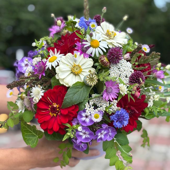 Flowerbox letní, luční mix (FK)