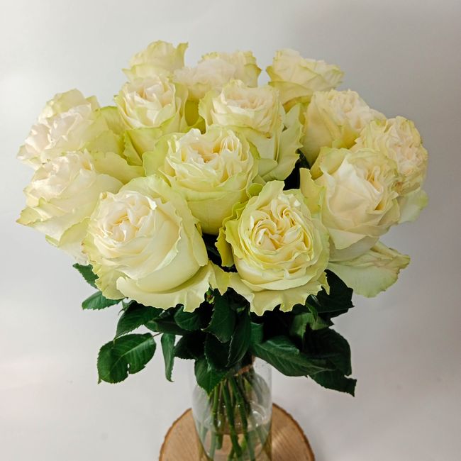 Kytice bílých, velkokvětých růží 15 ks 