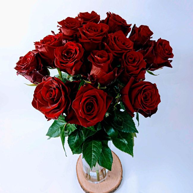 Kytice červených, velkokvětých růží 15 ks 