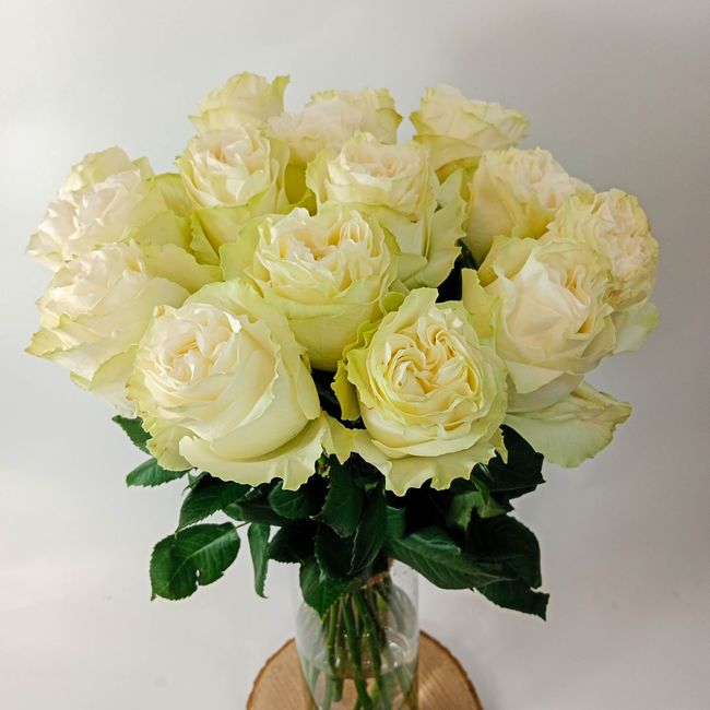 Kytice bílých, velkokvětých růží 15 ks