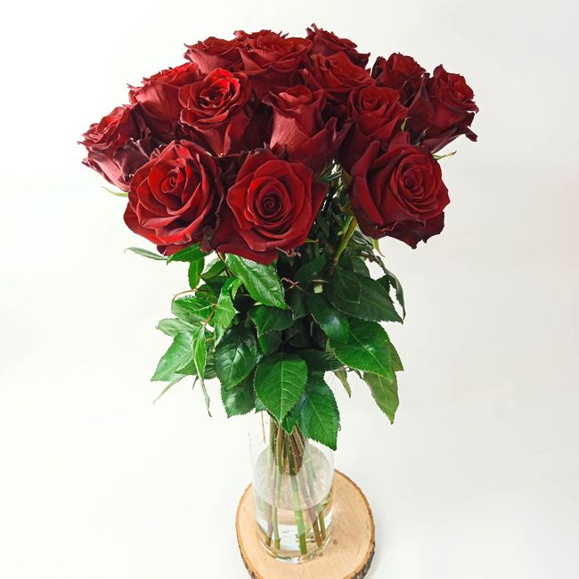 Kytice červených, velkokvětých růží 15 ks 