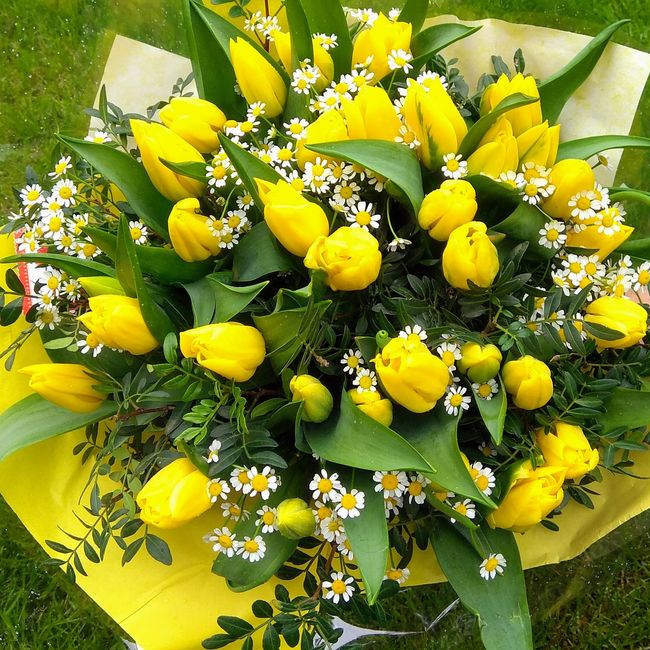  Svěží kytice ze 40 ks  žlutých tulipánů 
