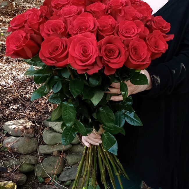 Kytice červených, velkokvětých růži 30 ks 