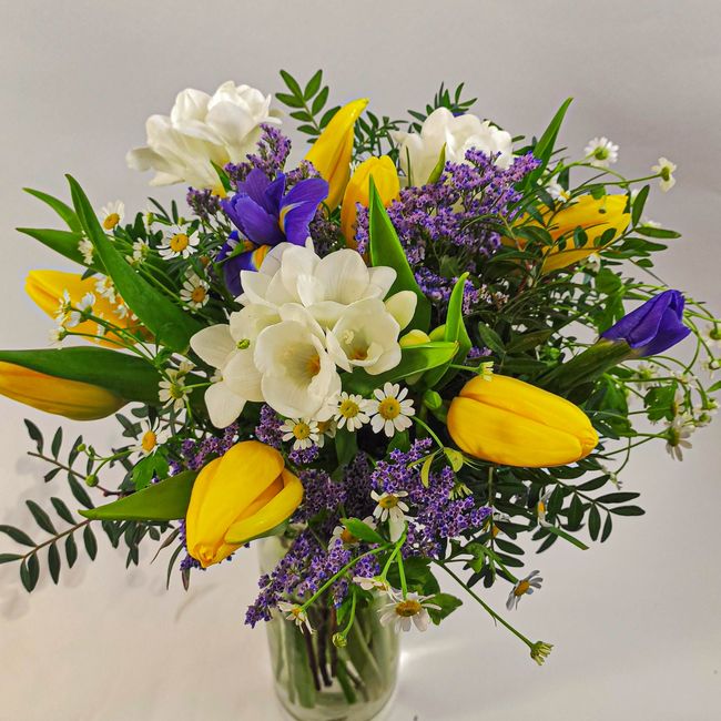 Jarní kytice ze žlutých tulipánů, frézií a fialových irisů
