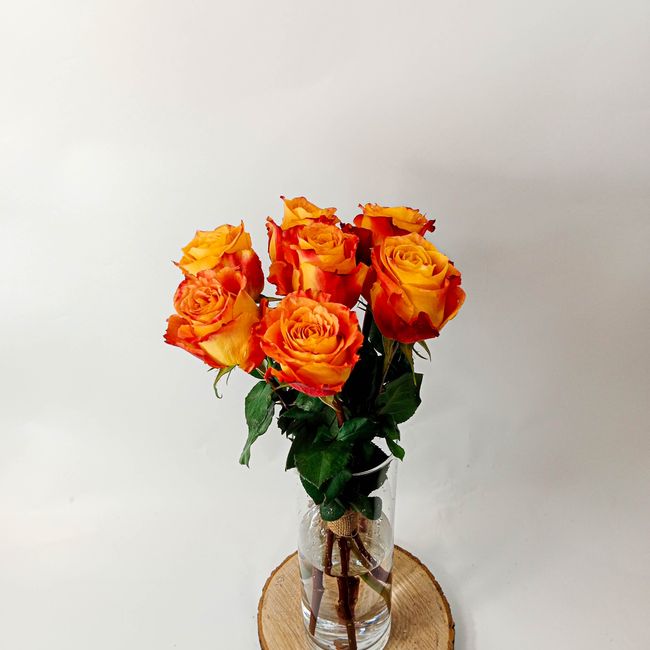 Kytice oranžových, velkokvětých růží 7 ks