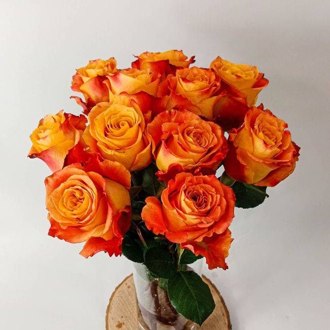 Kytice oranžových, velkokvětých růží 11 ks