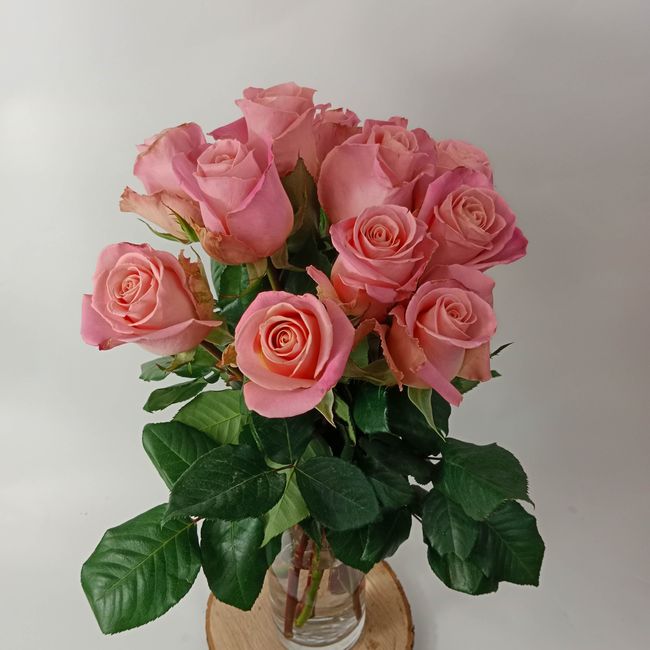 Kytice růžových, velkokvětých růží 11 ks 