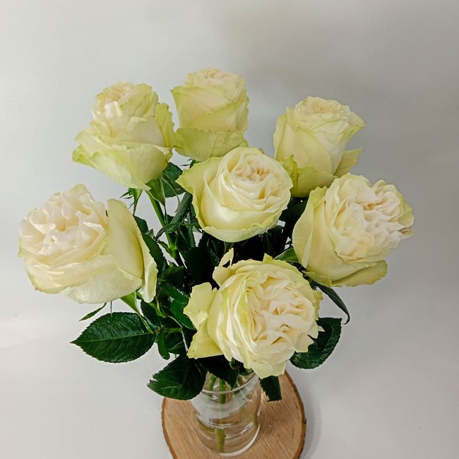Kytice bílých, velkokvětých růží 7 ks 