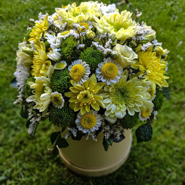 Flower box žluté chryzantémy santini