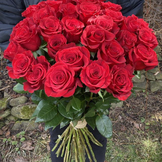 Kytice červených, velkokvětých růži 30 ks 