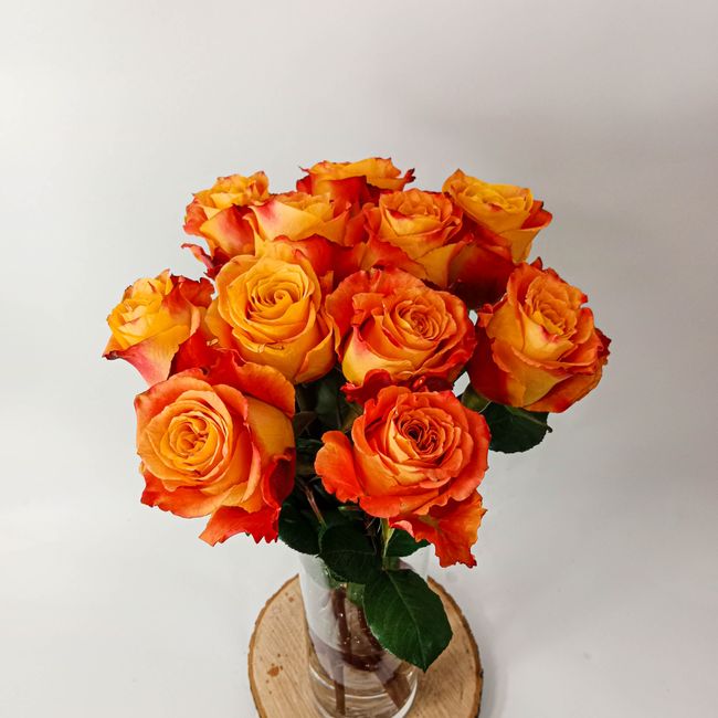 Kytice oranžových, velkokvětých růží 11 ks 