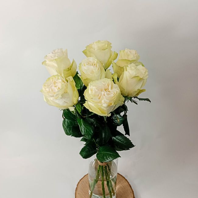 Kytice bílých, velkokvětých růží 7 ks 