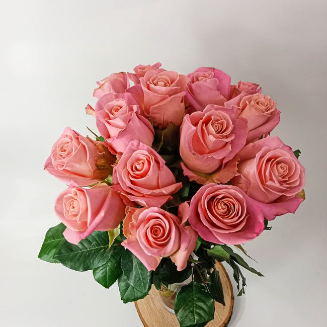 Kytice růžových, velkokvětých růží 15 ks 