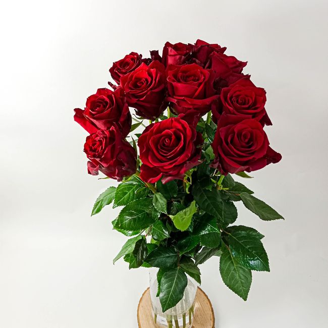 Kytice červených, velkokvětých růží 11 ks