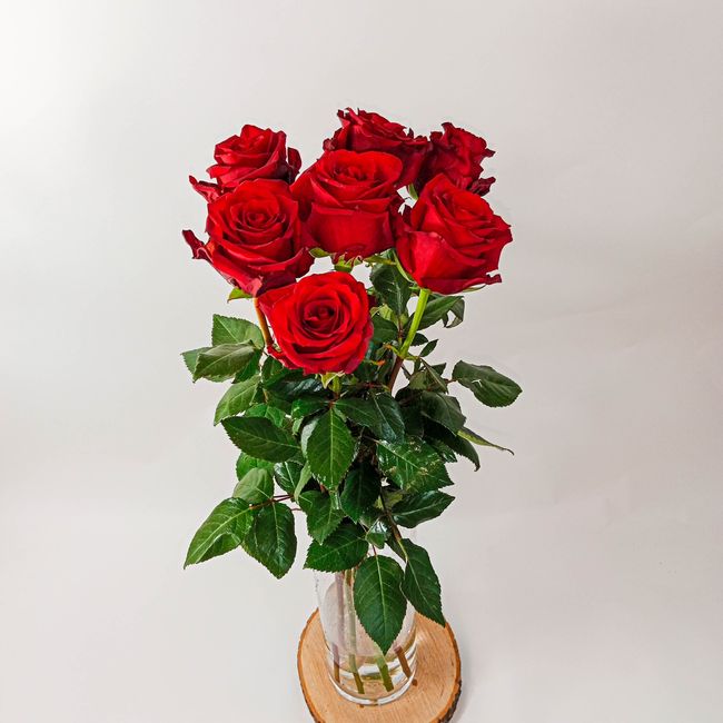 Kytice červených, velkokvětých růží 7 ks 